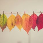Crafting Careers That Dance with Complexity and Change